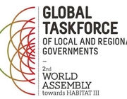 CLGF inputs into key recommendations for Habitat III