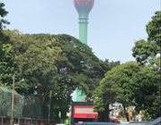 CLGF regional updates: Asia 
