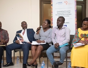 Diaspora resources for LED and job creation