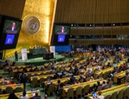 Local government at the 2026 High-Level Political Forum
