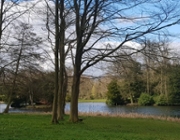 Green recovery post-COVID