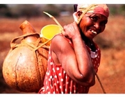 CLGF backs LED approach to development