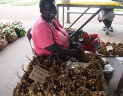 Increasing Women's Leadership Integral to Improving Economic Growth and Reducing Corruption in the Pacific
