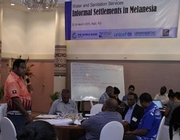 Water and Sanitation Services in Informal Settlements in Melanesia