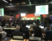 Local government takes its place at UN Habitat Assembly