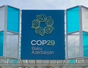 Local government at COP 29