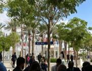 COP28 – call for multi-level governance