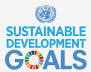 UN High Level Policy Forum receives localising SDGs report