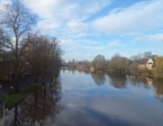 Local government at COP30