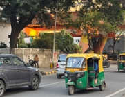 Multi-Level Multilateralism: our Commonwealth commitment