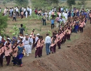 India: 66 million trees planted in Madhya Pradesh