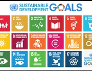 Making the SDGs a reality
